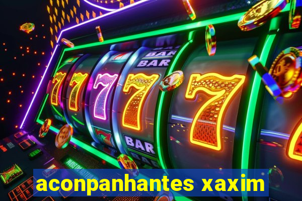 aconpanhantes xaxim